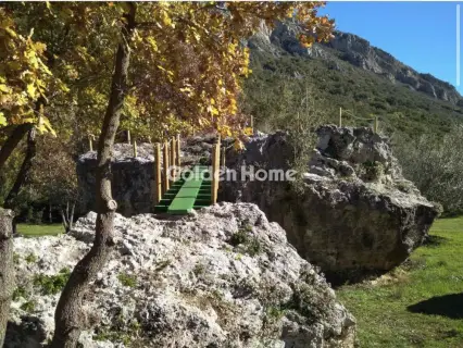 Αγροτεμάχιο 4500τ.μ. προς πώληση φωτογραφία 5484879