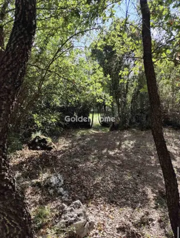 Αγροτεμάχιο 4500τ.μ. προς πώληση φωτογραφία 5484883
