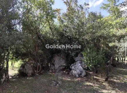 Αγροτεμάχιο 4500τ.μ. προς πώληση φωτογραφία 5484884
