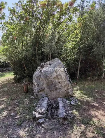 Αγροτεμάχιο 4500τ.μ. προς πώληση φωτογραφία 5484887