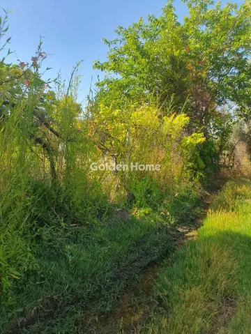 Professional Plot 800m<sup>2</sup> for sale photo 2