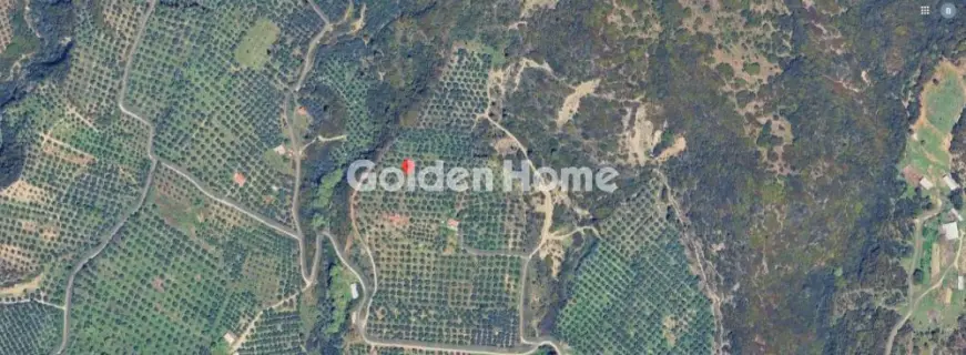 土地 2500m<sup>2</sup> for sale photo 5475714