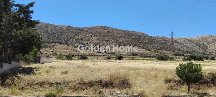 Οικιστικό 1223τ.μ. προς πώληση φωτογραφία 2