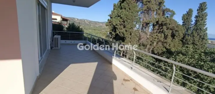 Μονοκατοικία 255τ.μ. προς πώληση φωτογραφία 5472821
