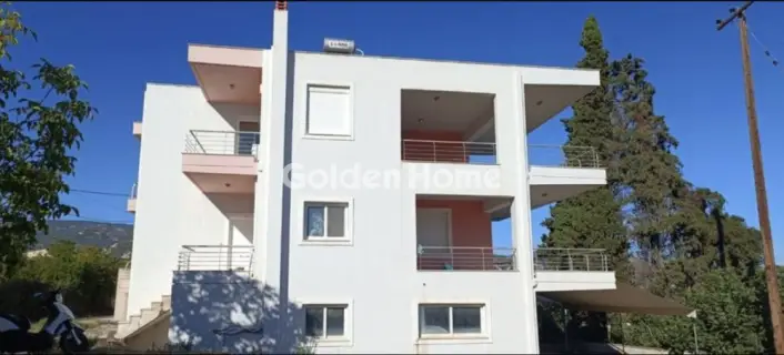 Μονοκατοικία 255τ.μ. προς πώληση φωτογραφία 5472833