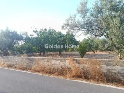 Οικιστικό 951τ.μ. προς πώληση φωτογραφία 2