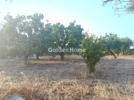 Οικιστικό 951τ.μ. προς πώληση φωτογραφία 3