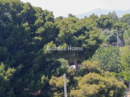 Κτίριο 360τ.μ. προς πώληση φωτογραφία 2