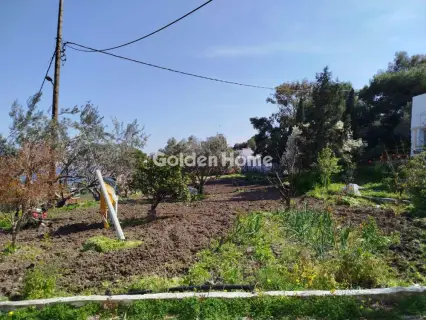 House 437m<sup>2</sup> for sale photo 4