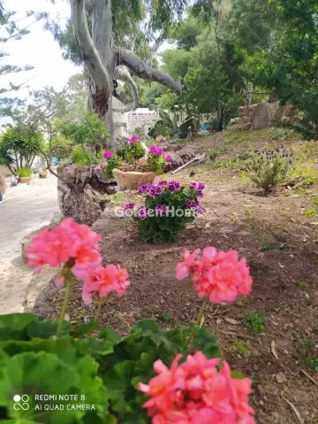 House 437m<sup>2</sup> for sale photo 6