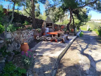 House 437m<sup>2</sup> for sale photo 8