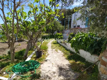 House 437m<sup>2</sup> for sale photo 16