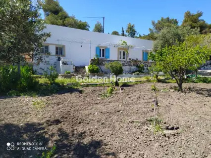 House 437m<sup>2</sup> for sale photo 22