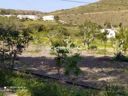 House 437m<sup>2</sup> for sale photo 29