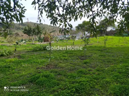 House 437m<sup>2</sup> for sale photo 34