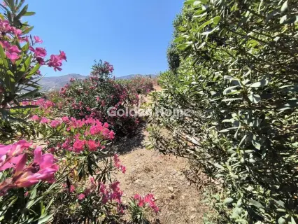 独立复式小屋 130m<sup>2</sup> for sale photo 29