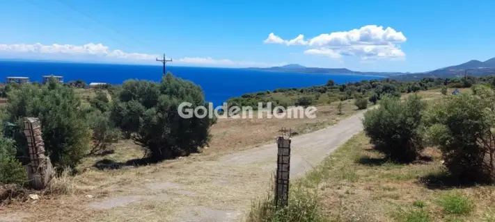 Residential 3485m<sup>2</sup> for sale photo 5475086