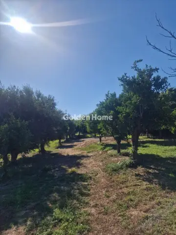 Residential 3500m<sup>2</sup> for sale photo 5476006