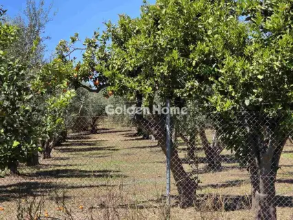 Residential 3500m<sup>2</sup> for sale photo 5476005