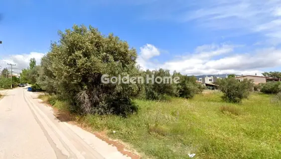 Οικιστικό 1746τ.μ. προς πώληση φωτογραφία 5475299