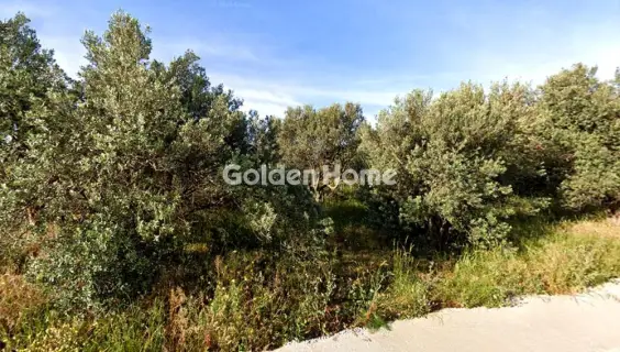 Οικιστικό 1746τ.μ. προς πώληση φωτογραφία 5475300