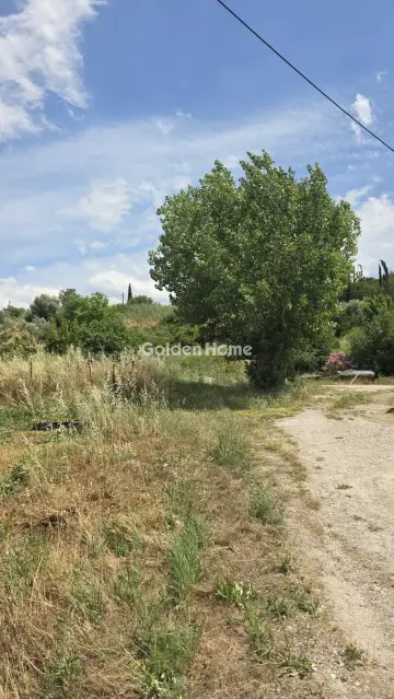 Οικιστικό 2800τ.μ. προς πώληση φωτογραφία 5503166
