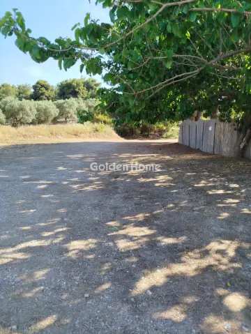 Πώληση Επιχείρησης 2500τ.μ. προς πώληση φωτογραφία 34