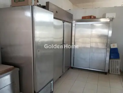 Αυτόνομο Κτίριο 900τ.μ. προς ενοικίαση φωτογραφία 5482729