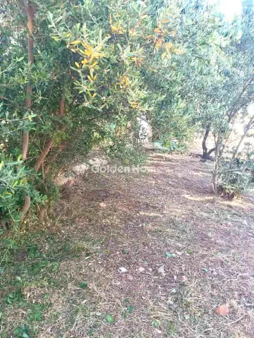Οικιστικό 290τ.μ. προς πώληση φωτογραφία 5