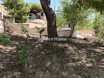House 32m<sup>2</sup> for sale photo 1