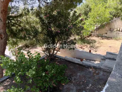 House 32m<sup>2</sup> for sale photo 10