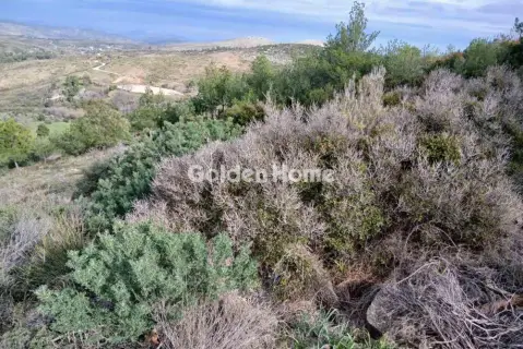 Residential 754m<sup>2</sup> for sale photo 5485319