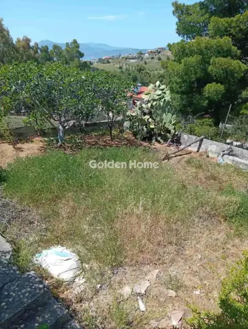 Οικιστικό 505τ.μ. προς πώληση φωτογραφία 5480725