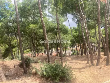 Οικιστικό 568τ.μ. προς πώληση φωτογραφία 5490175