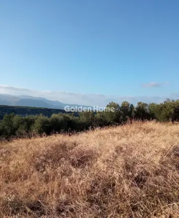 Οικιστικό 4650τ.μ. προς πώληση φωτογραφία 5480387