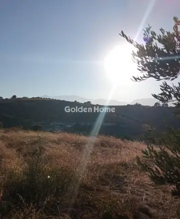 Οικιστικό 4650τ.μ. προς πώληση φωτογραφία 5480387
