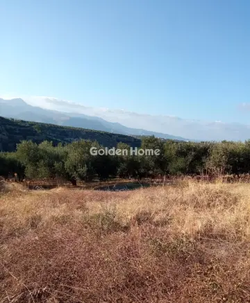 Οικιστικό 4650τ.μ. προς πώληση φωτογραφία 5480387