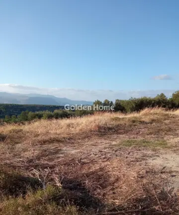 Οικιστικό 4650τ.μ. προς πώληση φωτογραφία 5480388