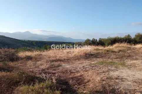 Οικιστικό 4650τ.μ. προς πώληση φωτογραφία 5480388