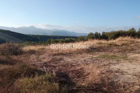 Οικιστικό 4650τ.μ. προς πώληση φωτογραφία 5480388