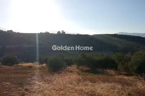 Οικιστικό 4650τ.μ. προς πώληση φωτογραφία 5480390