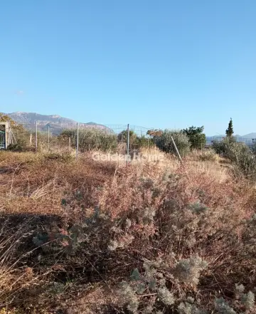 Οικιστικό 4650τ.μ. προς πώληση φωτογραφία 5480391