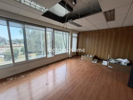 办公室 250m<sup>2</sup> for rent photo 15