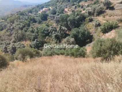 Αγροτεμάχιο 1000τ.μ. προς πώληση φωτογραφία 1
