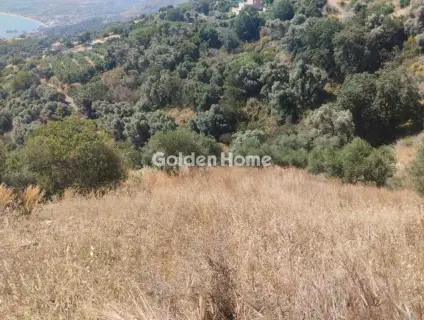 Αγροτεμάχιο 1000τ.μ. προς πώληση φωτογραφία 2