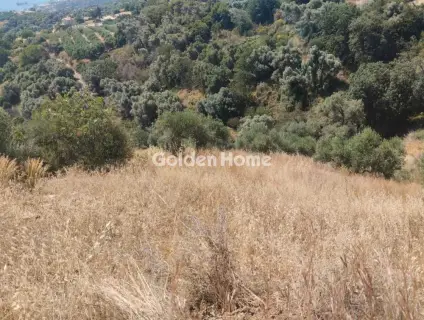 Αγροτεμάχιο 1000τ.μ. προς πώληση φωτογραφία 3