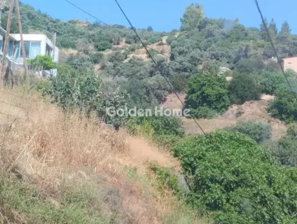 Αγροτεμάχιο 1000τ.μ. προς πώληση φωτογραφία 4