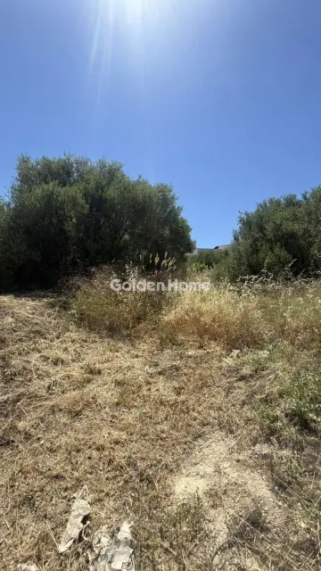 Οικιστικό 900τ.μ. προς πώληση φωτογραφία 5
