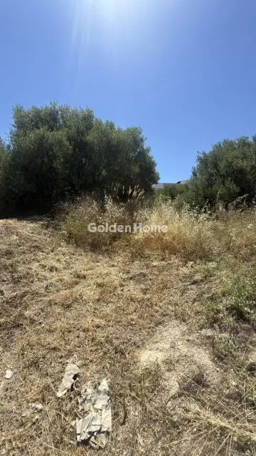 Οικιστικό 900τ.μ. προς πώληση φωτογραφία 6