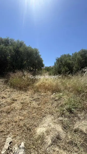 Οικιστικό 900τ.μ. προς πώληση φωτογραφία 7